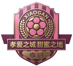 孝感队